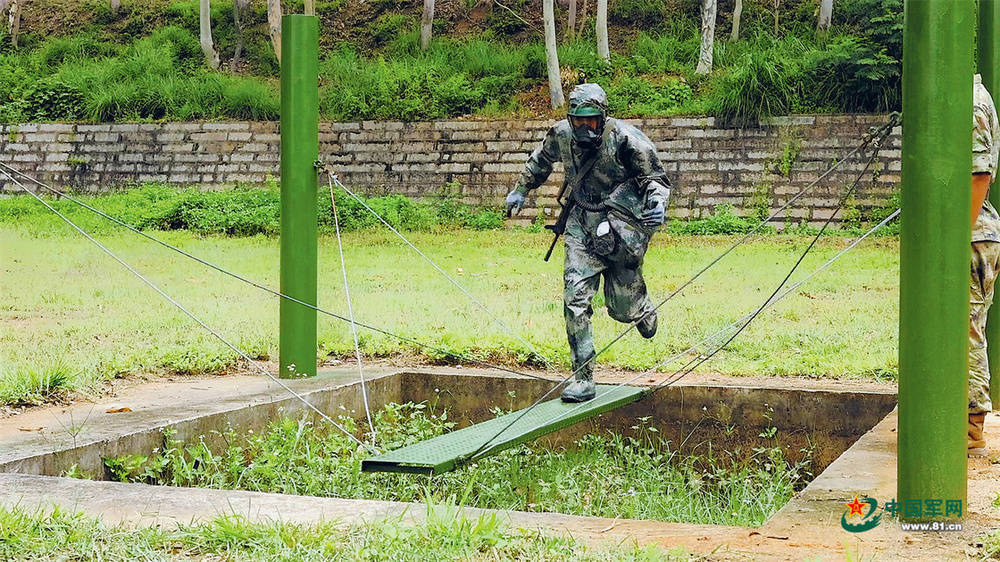从操场通往战场，组训模式之变带来训练场新景观